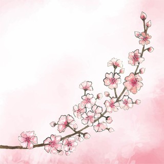 樱花植物素材